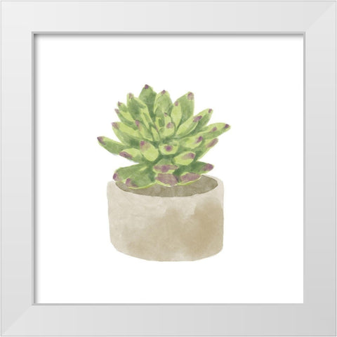 Simple Succulent III White Modern Wood Framed Art Print by Bannarot