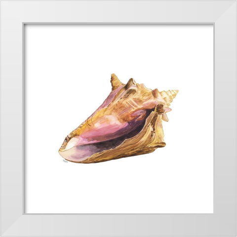 Oceanum Shells white I-Conch White Modern Wood Framed Art Print by Reed, Tara