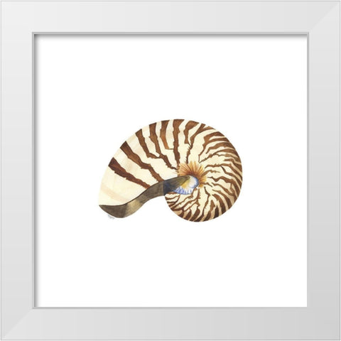 Oceanum Shells white III-Nautilus White Modern Wood Framed Art Print by Reed, Tara