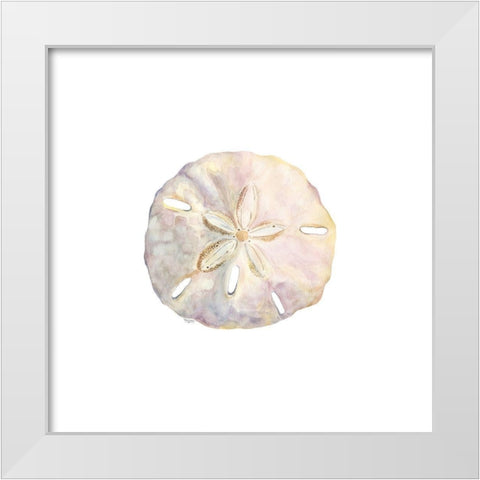 Oceanum Shells white IV-Sand Dollar White Modern Wood Framed Art Print by Reed, Tara
