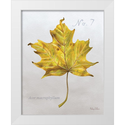 Autumn  Leaves on Gray II-Maple 2 White Modern Wood Framed Art Print by Wilson, Kelsey