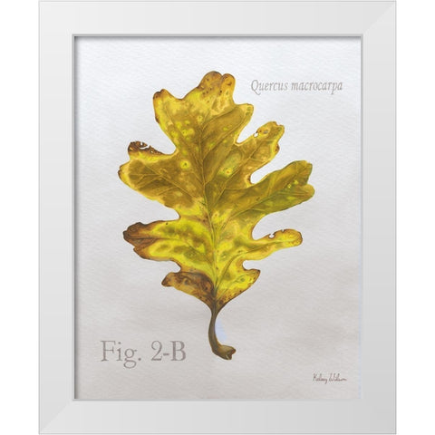 Autumn  Leaves on Gray III-Oak White Modern Wood Framed Art Print by Wilson, Kelsey