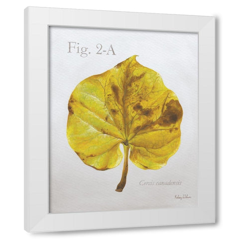 Autumn  Leaves on Gray IV-Redbud White Modern Wood Framed Art Print by Wilson, Kelsey