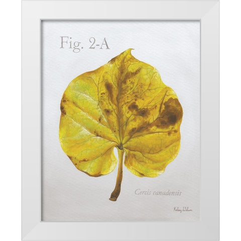 Autumn  Leaves on Gray IV-Redbud White Modern Wood Framed Art Print by Wilson, Kelsey