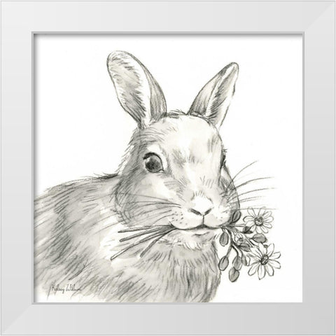 Watercolor  Pencil Farm V-Rabbit White Modern Wood Framed Art Print by Wilson, Kelsey