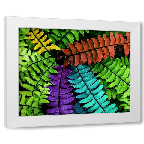 Feel  the Fern White Modern Wood Framed Art Print by Manelis, Jessica