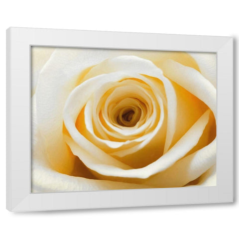 Gold  Rush White Modern Wood Framed Art Print by Manelis, Jessica