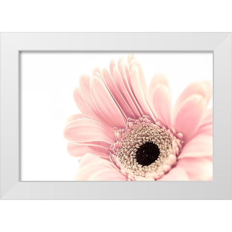 Imaginary  Garden White Modern Wood Framed Art Print by Manelis, Jessica