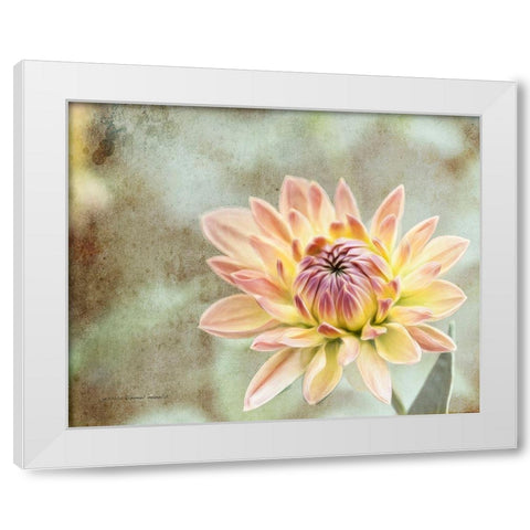 Impression  Flower White Modern Wood Framed Art Print by Manelis, Jessica