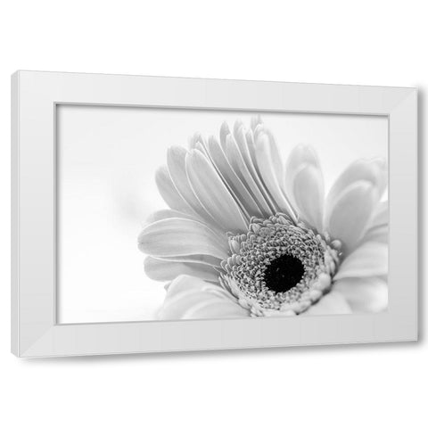 Ingenious  Nonsense White Modern Wood Framed Art Print by Manelis, Jessica