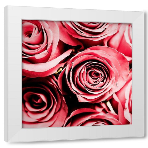 Moonlight  And Roses White Modern Wood Framed Art Print by Manelis, Jessica