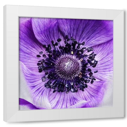 Not  Like the Rest White Modern Wood Framed Art Print by Manelis, Jessica