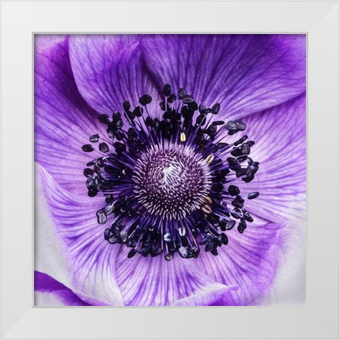 Not  Like the Rest White Modern Wood Framed Art Print by Manelis, Jessica