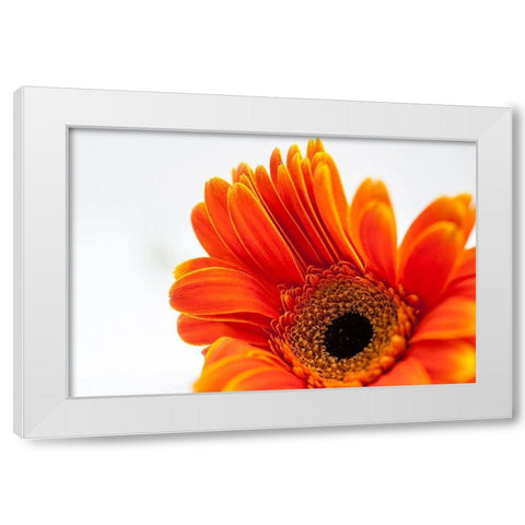 Poetry  Is White Modern Wood Framed Art Print by Manelis, Jessica