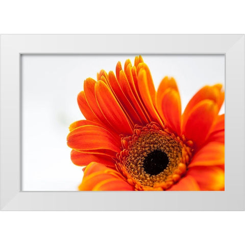 Poetry  Is White Modern Wood Framed Art Print by Manelis, Jessica