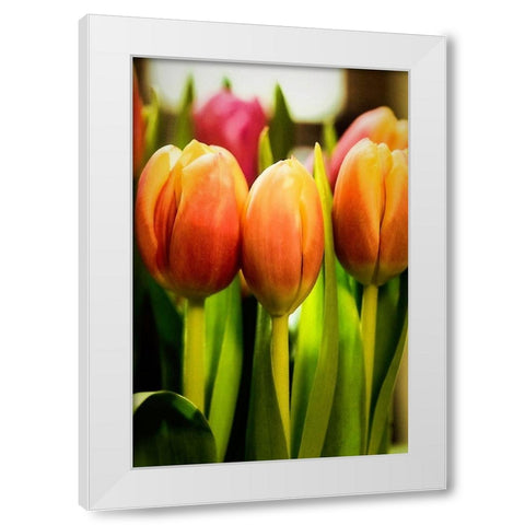 Radiant White Modern Wood Framed Art Print by Manelis, Jessica