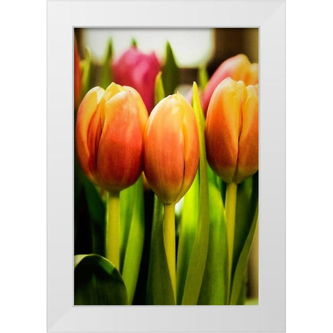 Radiant White Modern Wood Framed Art Print by Manelis, Jessica