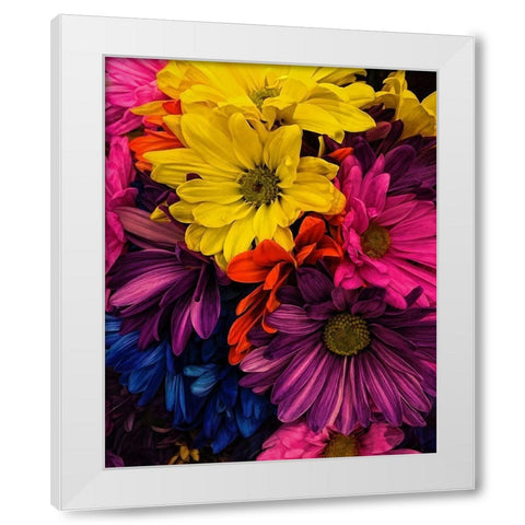 Riot  of Color White Modern Wood Framed Art Print by Manelis, Jessica