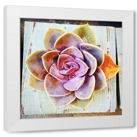 Rooting  for You White Modern Wood Framed Art Print by Manelis, Jessica
