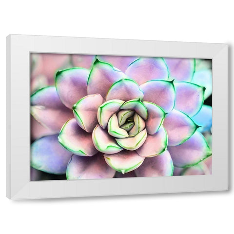 Succ  You White Modern Wood Framed Art Print by Manelis, Jessica
