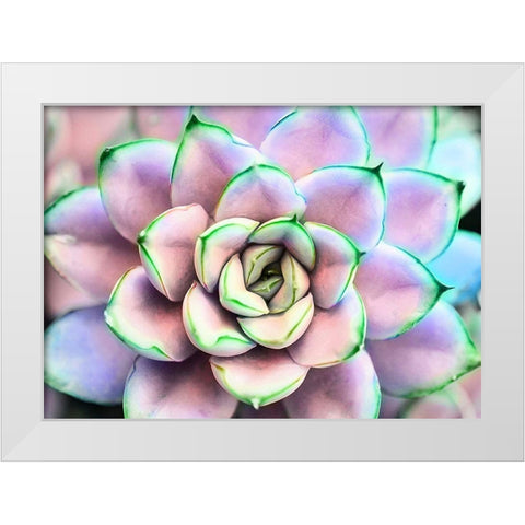 Succ  You White Modern Wood Framed Art Print by Manelis, Jessica