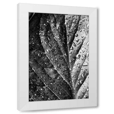 Such  a Morning White Modern Wood Framed Art Print by Manelis, Jessica