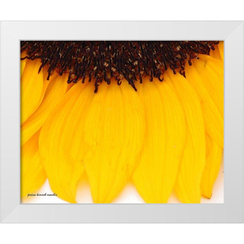 Sunflower  Closeup White Modern Wood Framed Art Print by Manelis, Jessica