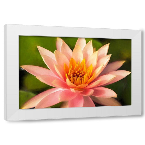 Beauty  of the World White Modern Wood Framed Art Print by Manelis, Jessica