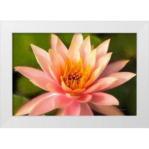 Beauty  of the World White Modern Wood Framed Art Print by Manelis, Jessica