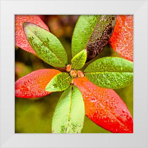 Tis  the Season White Modern Wood Framed Art Print by Manelis, Jessica