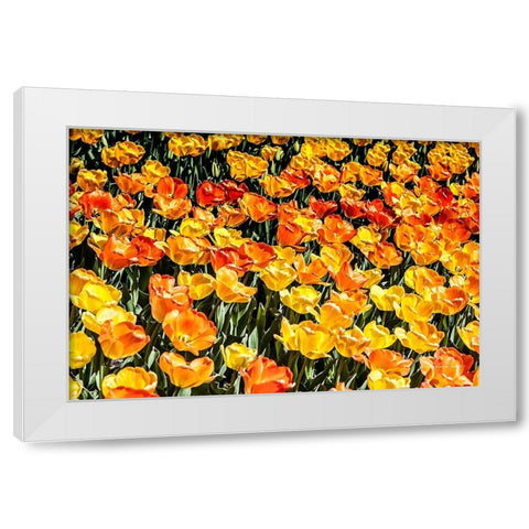 Tulip  Wave White Modern Wood Framed Art Print by Manelis, Jessica