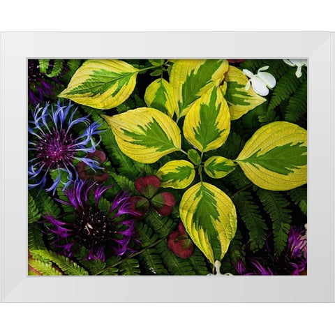 Welcome  to the Jungle White Modern Wood Framed Art Print by Manelis, Jessica