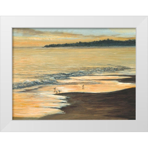 Coastline White Modern Wood Framed Art Print by Mielko, Tom