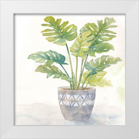 Houseplant III-Split Leaf Philodendron White Modern Wood Framed Art Print by Coulter, Cynthia