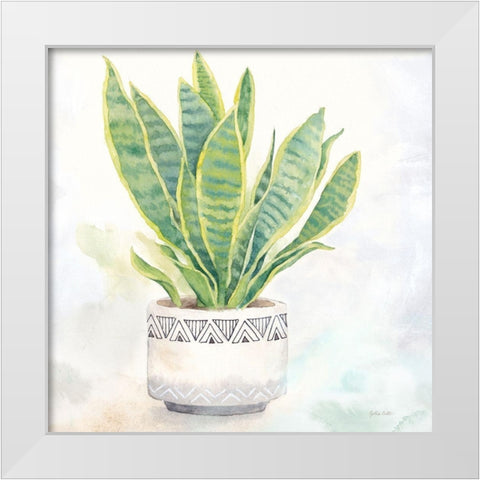 Houseplant IV-Snake Plant White Modern Wood Framed Art Print by Coulter, Cynthia