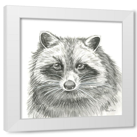Watercolor Pencil Forest VI-Raccoon White Modern Wood Framed Art Print by Wilson, Kelsey