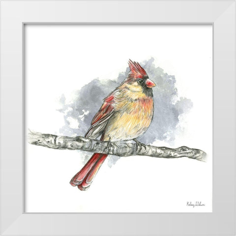 Birds And Branches II-Female Cardinal White Modern Wood Framed Art Print by Wilson, Kelsey