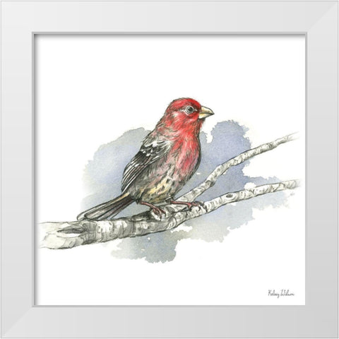 Birds And Branches IV-House Finch White Modern Wood Framed Art Print by Wilson, Kelsey