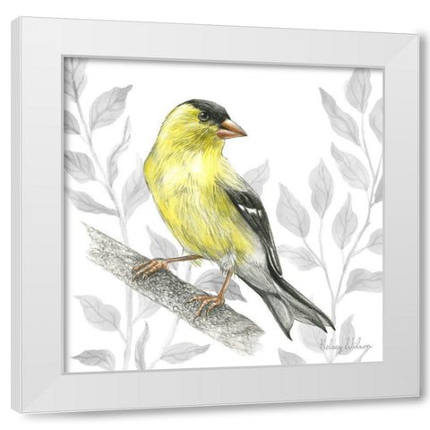 Backyard Birds III-Goldfinch I White Modern Wood Framed Art Print by Wilson, Kelsey