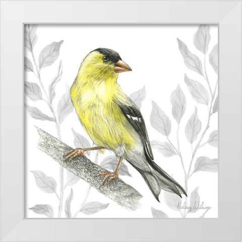 Backyard Birds III-Goldfinch I White Modern Wood Framed Art Print by Wilson, Kelsey