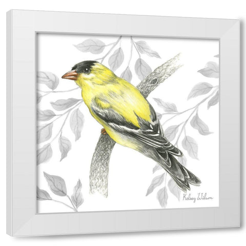 Backyard Birds IV-Goldfinch II White Modern Wood Framed Art Print by Wilson, Kelsey