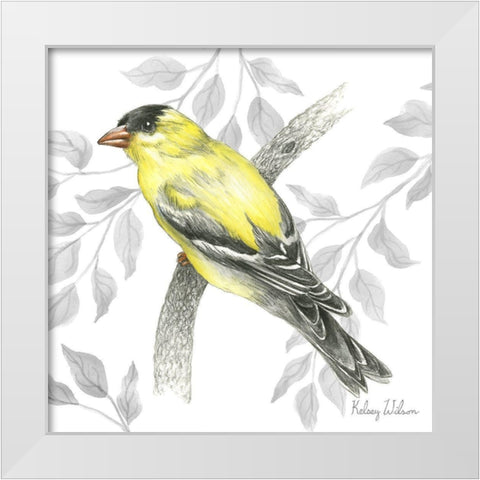 Backyard Birds IV-Goldfinch II White Modern Wood Framed Art Print by Wilson, Kelsey
