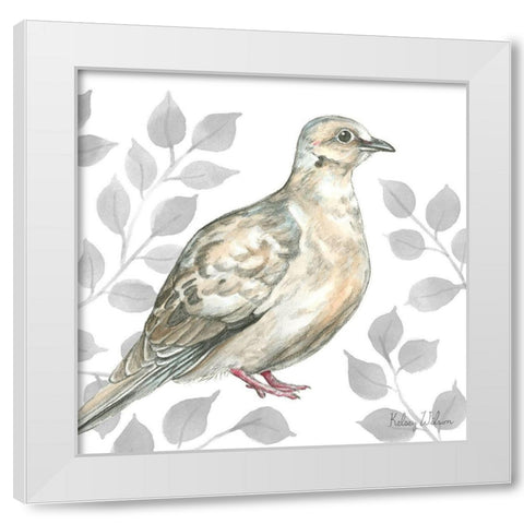 Backyard Birds V-Mourning Dove White Modern Wood Framed Art Print by Wilson, Kelsey