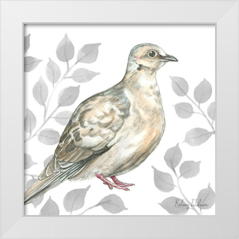 Backyard Birds V-Mourning Dove White Modern Wood Framed Art Print by Wilson, Kelsey