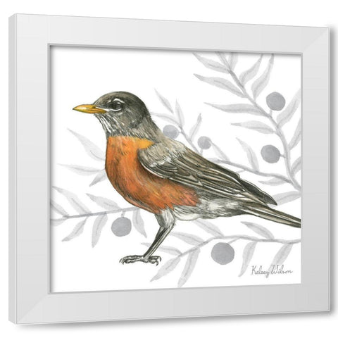Backyard Birds VI-Robin White Modern Wood Framed Art Print by Wilson, Kelsey