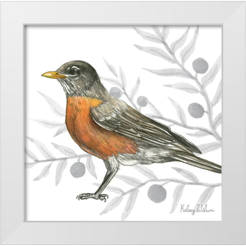 Backyard Birds VI-Robin White Modern Wood Framed Art Print by Wilson, Kelsey