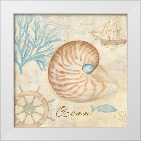 Nautical Shells III White Modern Wood Framed Art Print by Coulter, Cynthia