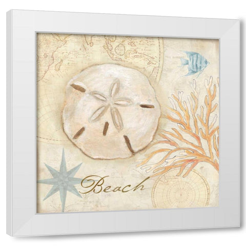 Nautical Shells IV White Modern Wood Framed Art Print by Coulter, Cynthia