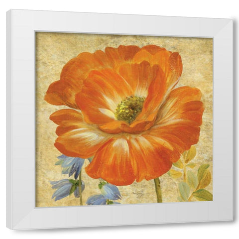 Primavera II White Modern Wood Framed Art Print by Gladding, Pamela