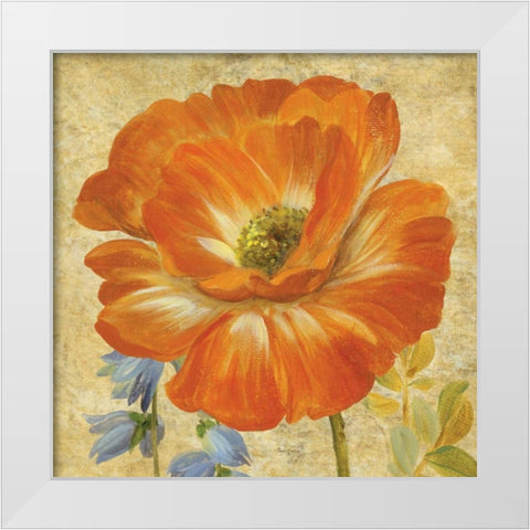 Primavera II White Modern Wood Framed Art Print by Gladding, Pamela